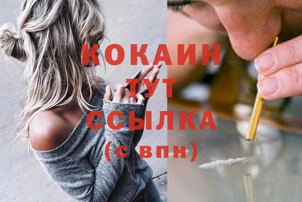 соль курить ск Алексеевка