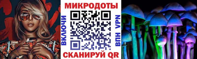 кракен как войти  Покров  Галлюциногенные грибы Psilocybe 