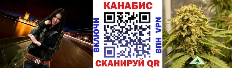 где можно купить наркотик  Покров  Каннабис VHQ 
